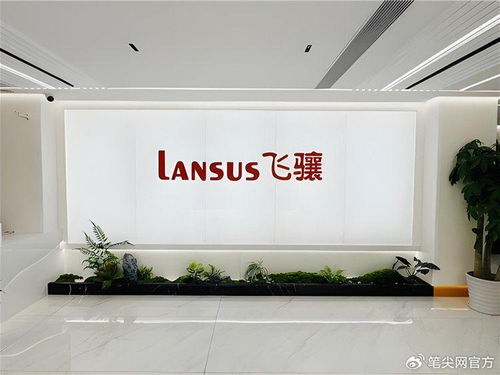 飛驤科技IPO挑戰 前五月營收凈利下滑，高負債率引關注